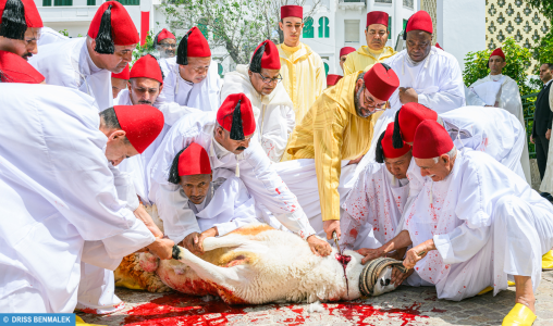 أمير المؤمنين يؤدي صلاة عيد الأضحى المبارك بمسجد الحسن الثاني بتطوان ويتقبل التهاني بهذه المناسبة السعيدة