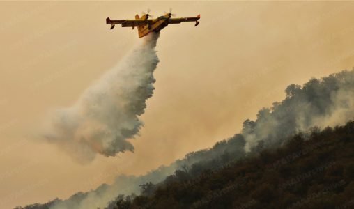 الحريق الغابوي بجماعة دردارة بشفشاون.. التحكم في ثلاث من أصل أربع بؤر كبيرة والطائرات تواصل عملها لإخماد البؤرة المتبقية (وكالة)