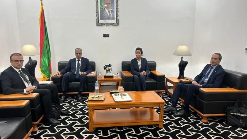 تسريع التعاون في مجالات الكهرباء والطاقات المتجددة محور مباحثات الوزيرة بنعلي مع نظيرها الموريتاني
