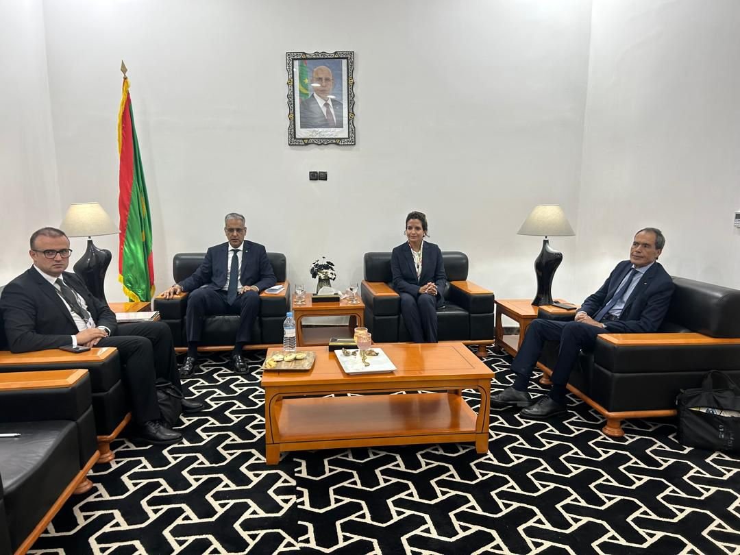 تسريع التعاون في مجالات الكهرباء والطاقات المتجددة محور مباحثات الوزيرة بنعلي مع نظيرها الموريتاني